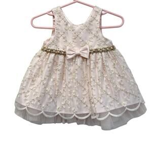 Couture Princess Embroidered Tulle Baby Dress Blush Pink